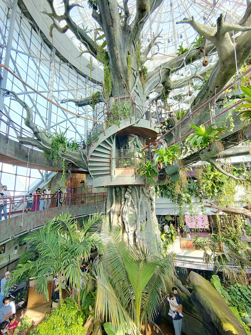 Dubai Attractions Tickets 5